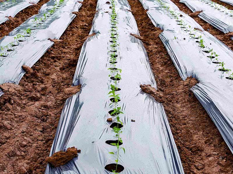 For agriculture